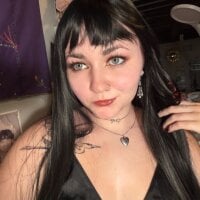 h3rons webcam model