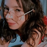 MINI_Petite webcam model