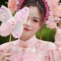 Navyfull webcam model