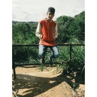 terrystaylers-x