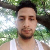 Black-_Cock