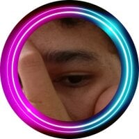 PINGUIM- webcam