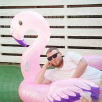 Roberto_Rogue_ webcam