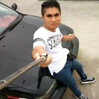 Crashsolitario webcam