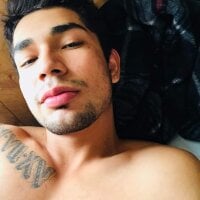 213san webcam