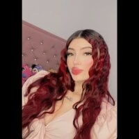 Dakota_marsh webcam model