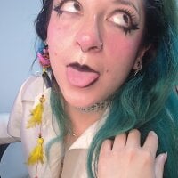 _Alaskamisa webcam model