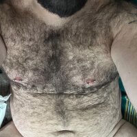 Bearhairypass webcam