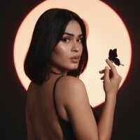 Model sweet_dannyfem