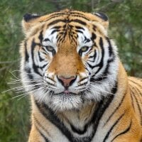 Teeeegvhvffbbv – avatarbillede