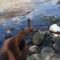 LearnedGoading webcam