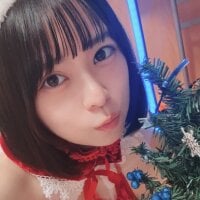 HIKARI_x0 webcam model