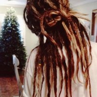 nedo69's Offline Chat Room