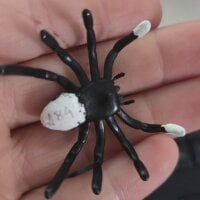 lesoul's Offline Chat Room