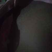 ppreto0136 webcam