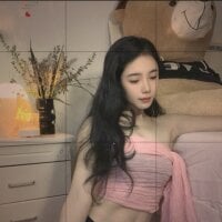 SS-SANSAN webcam model