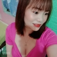 obtml webcam model