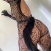 KittenCarnivore