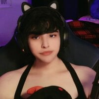 BimboCat webcam