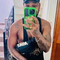 Модель wotton_17