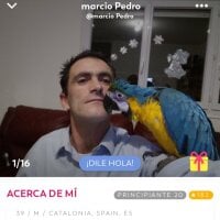 Pedro_35_Zorro webcam