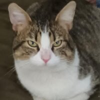 Ảnh Đại Diện --BaDtOKeNs--