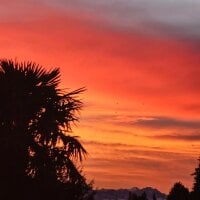 420fredd's Avatar Pic