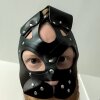 Ares_966