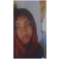 phola12 webcam