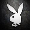 _Playboy_