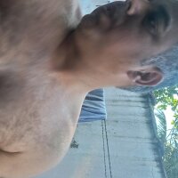 flavio81augusto
