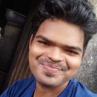 PushyFort4 webcam model