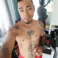 Elpichadura webcam model