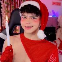 PRINCE_STEV webcam model