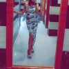 POOJA_298