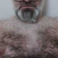 GreyDaddy24