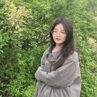 DANDAN-2025