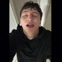 Модель Aron_steel04