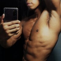 perceval_ webcam model