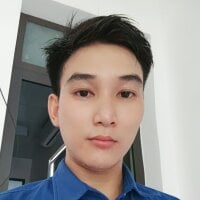 HQVN01 webcam