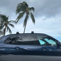 not_your_reg's Avatar Pic