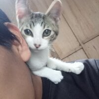 Josekachero webcam
