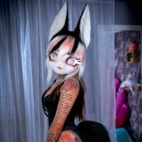 IZUMY_FOX webcam model