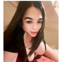 11inchMissDestroyerTS webcam