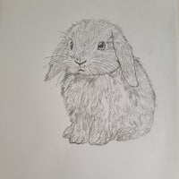 Bunny5_'s Avatar Pic