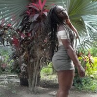 ARANZIA webcam model