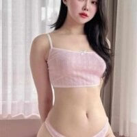 Aster-aster webcam model