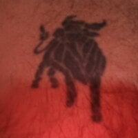 Offline chat soba modela firemaxx-1976