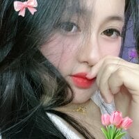 MI_KA22 webcam model