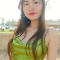 _LAN_ webcam model
